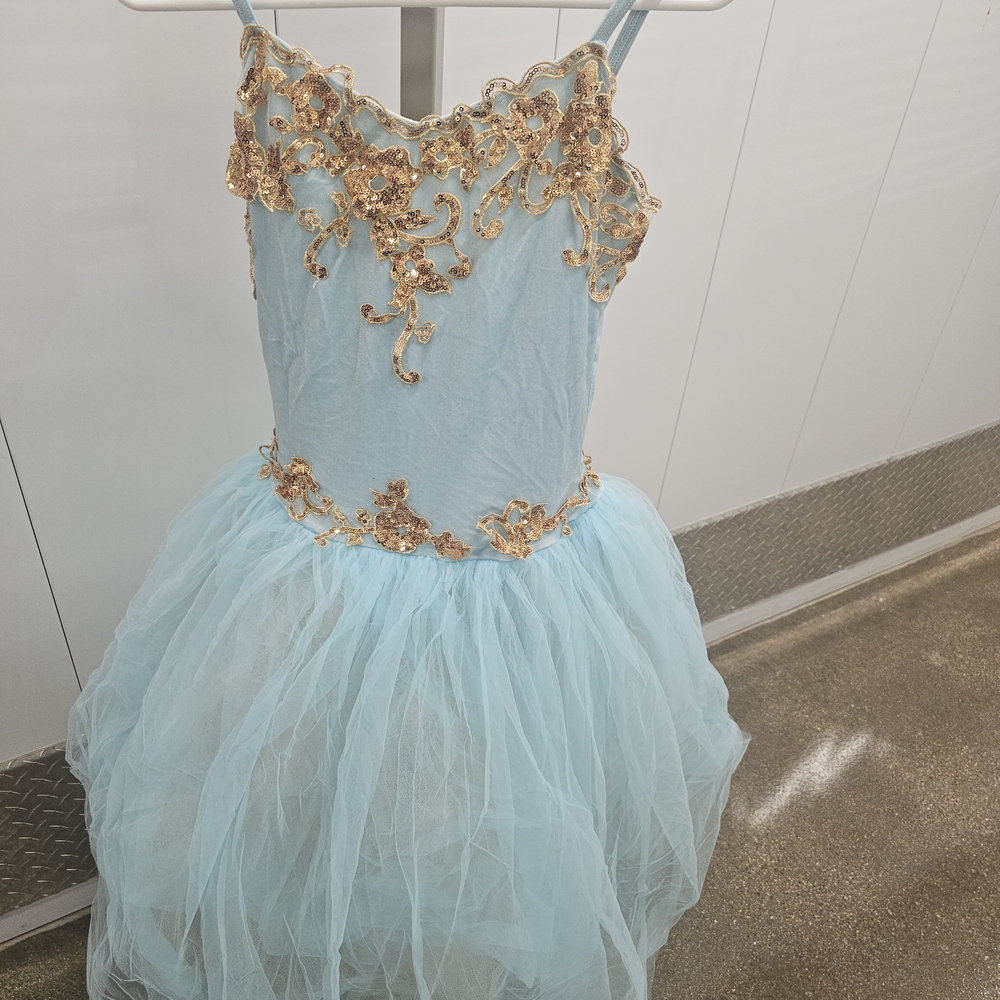 Charming Kids Dance Costume in Light Blue and Gold